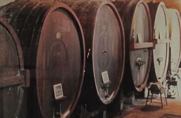 Monteverdi Vini