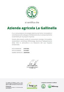 certificato-la-gallinella
