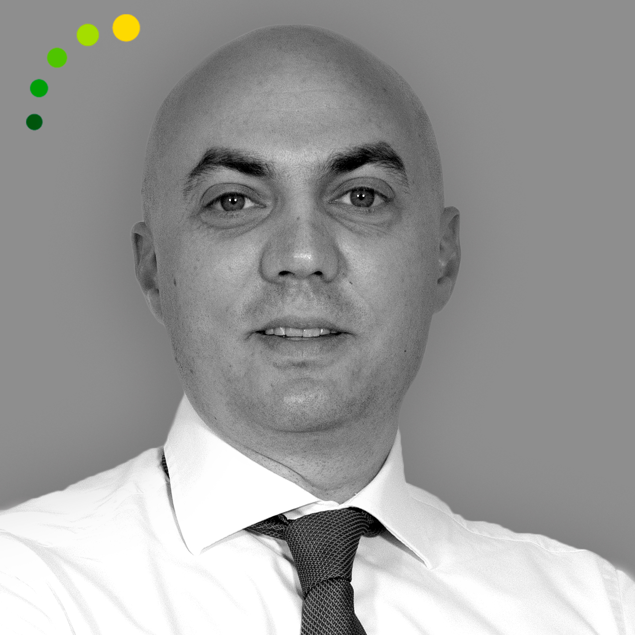 Gabriele Nicolis